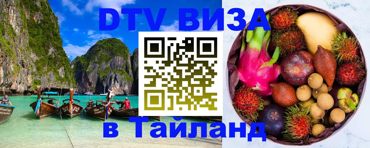 Оформление DTV визы под ключ: стоимость и тарифы, только загранпаспорт - 